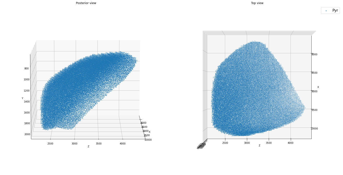 _images/tutorial_cell_placement_14_1.png