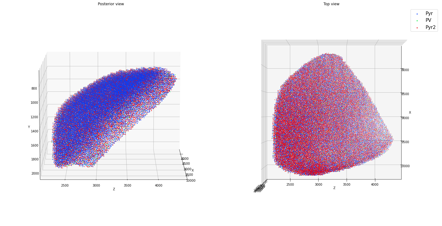 _images/tutorial_cell_placement_16_1.png