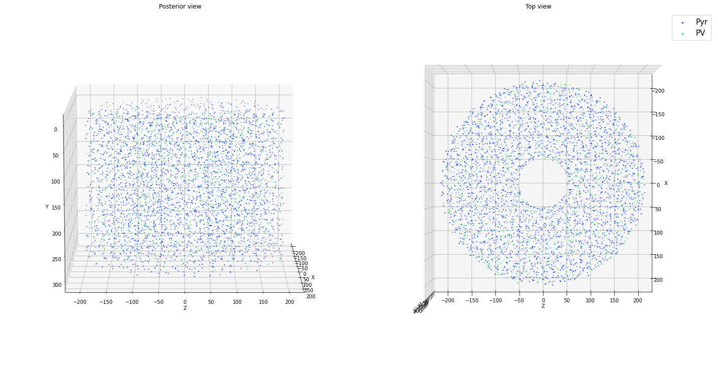 _images/tutorial_cell_placement_20_1.png