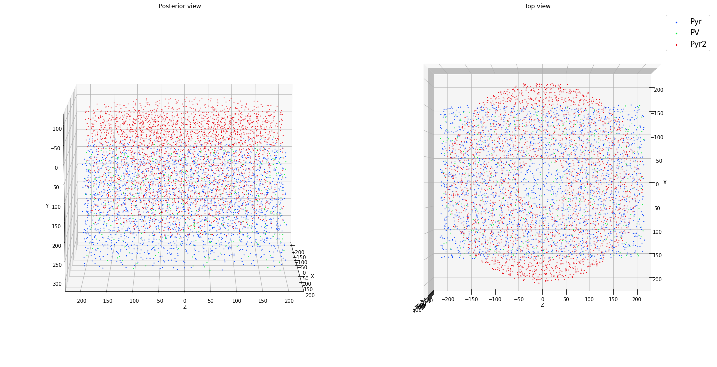 _images/tutorial_cell_placement_21_1.png