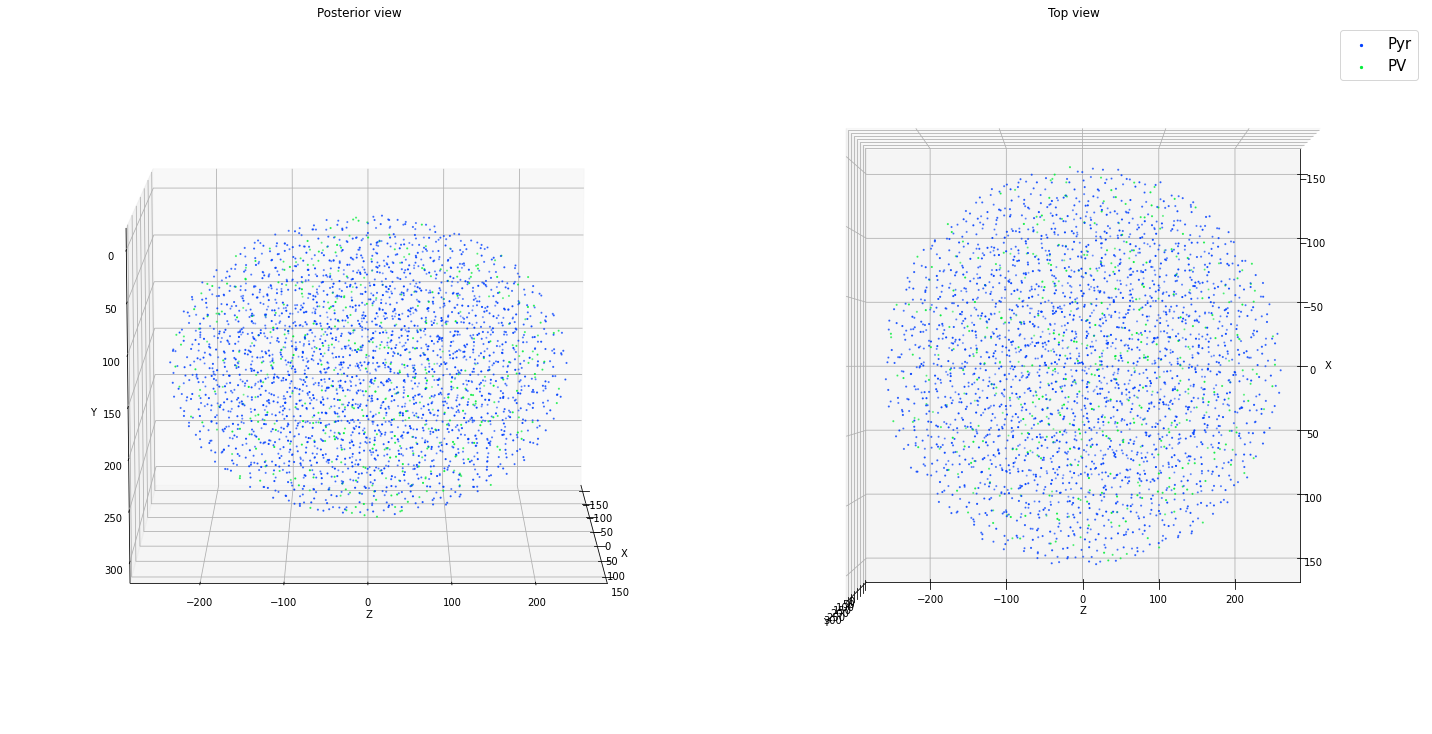 _images/tutorial_cell_placement_22_1.png